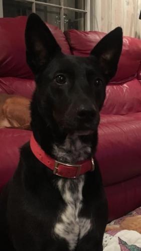 10:05:28 GMT-0600 (CST).image