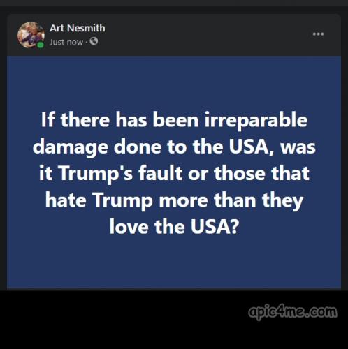 hating_trump_more_than_they_love_the_usa
