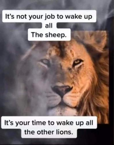 09:05:33 GMT-0700 (MST)