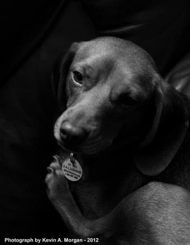 19:23:14 GMT-0600 (CST).image