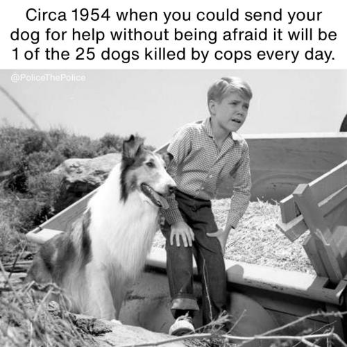 132134288_428445655151824_5223526053756669402_o