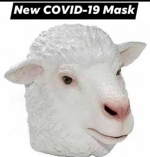 New covid mask