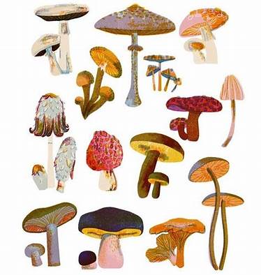 12:48:13 GMT-0700 (MST).image