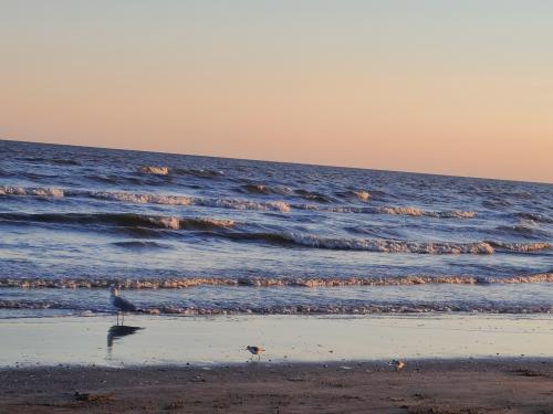 10:50:25 GMT-0600 (CST)