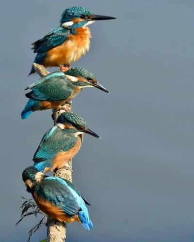 142618914_1784346438398227_2756884000004404667_o