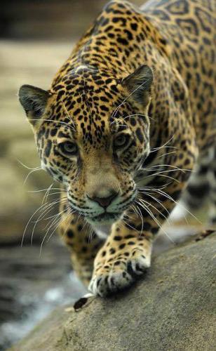 143515967_1504019449797400_2552823705092796746_n