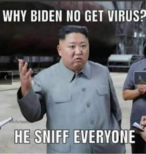 bidensniff