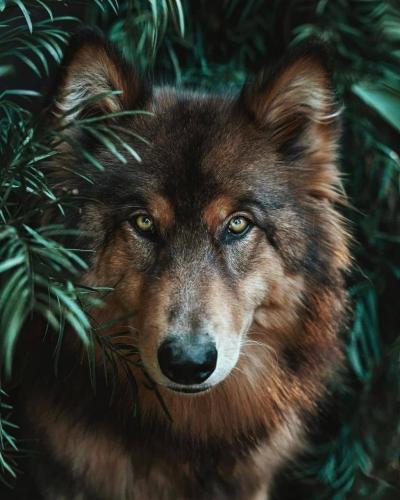 133833392_226633995697301_3406351315036126137_o