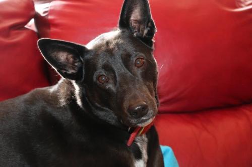 10:01:40 GMT-0600 (CST).image