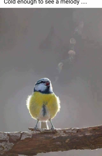 09:35:02 GMT-0500 (EST)