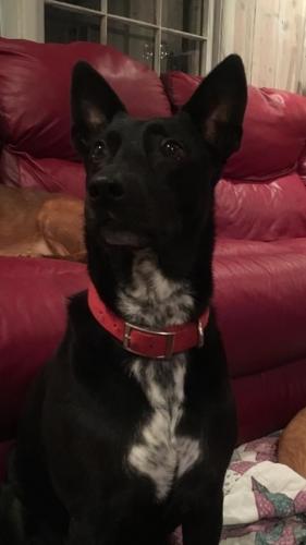 10:05:28 GMT-0600 (CST).image