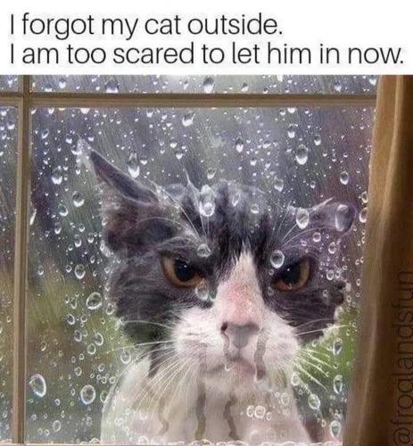 16:44:19 GMT-0800 (PST).image