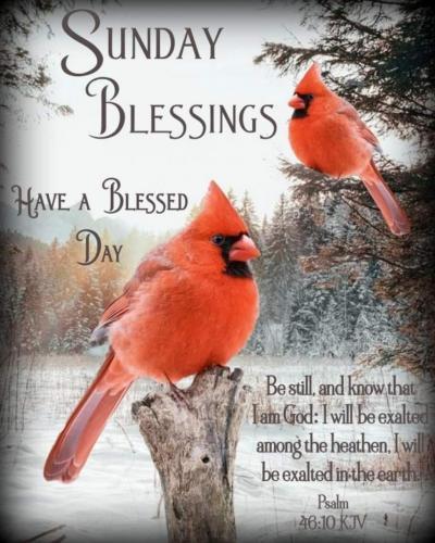 23:11:22 GMT-0600 (CST)