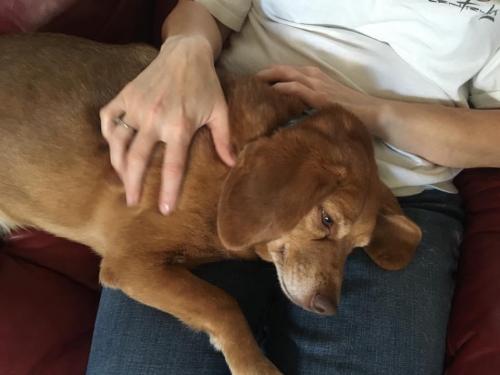 19:00:46 GMT-0600 (CST).image