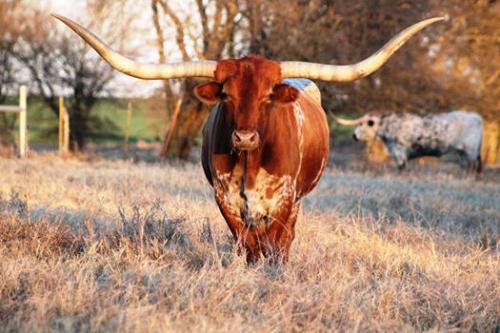 140364322_6257743351339_3097921911046179709_n