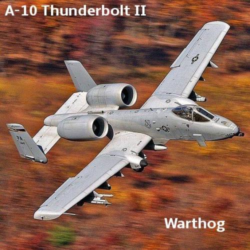 13434741_10204830455361370_6557971236602675667_n