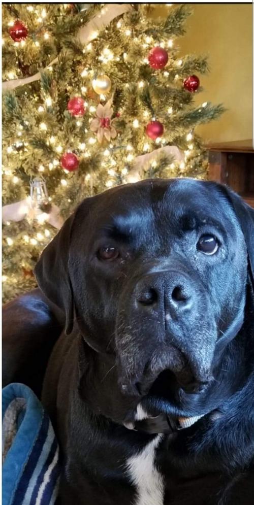 07:18:42 GMT-0500 (EST)