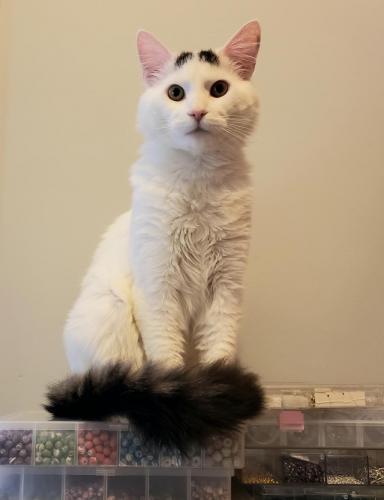 20:07:18 GMT-0500 (EST)