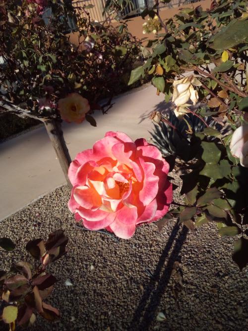 20:20:51 GMT-0800 (PST)