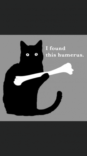 20:34:01 GMT-0500 (EST).image