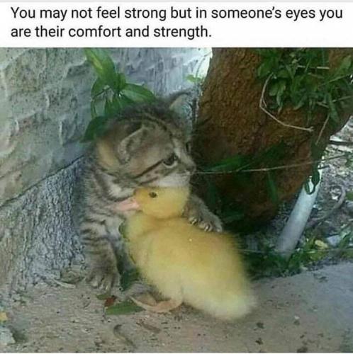 10:40:08 GMT-0500 (EST)