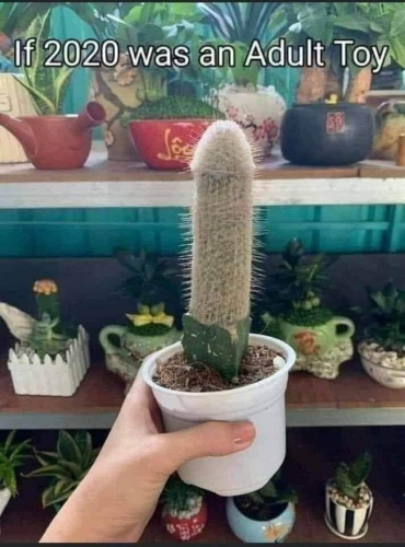 11:01:12 GMT-0800 (PST)