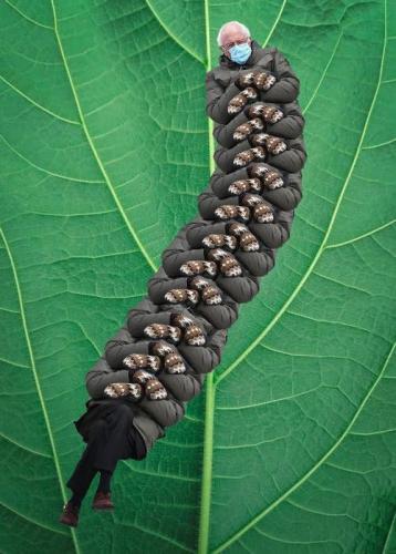bernie66