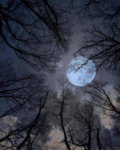 143576310_1786649038167967_3311727610083307371_o