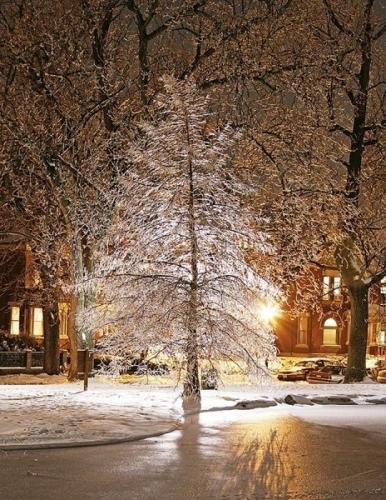 09:37:51 GMT-0600 (CST)