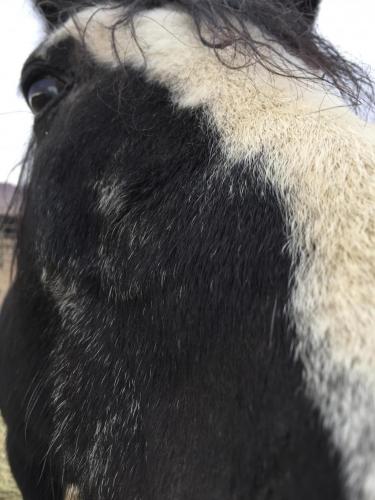 07:54:38 GMT-0800 (PST).image