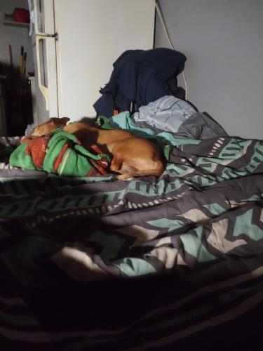 19:58:08 GMT-0600 (CST)