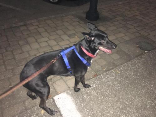 10:06:47 GMT-0600 (CST).image