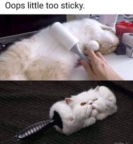 23:30:25 GMT-0800 (PST).image