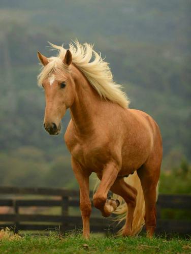 07:52:13 GMT-0600 (CST)