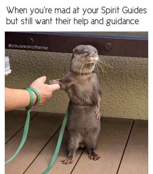 17:40:44 GMT+0000 (GMT).image