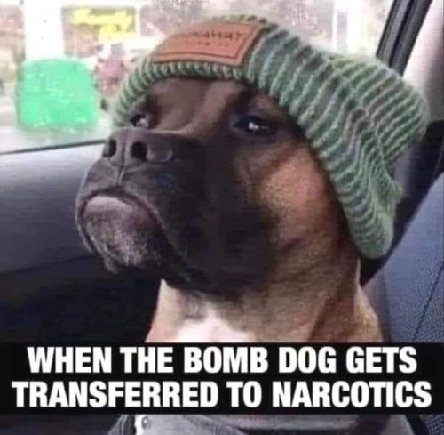 20:50:11 GMT-0500 (EST)