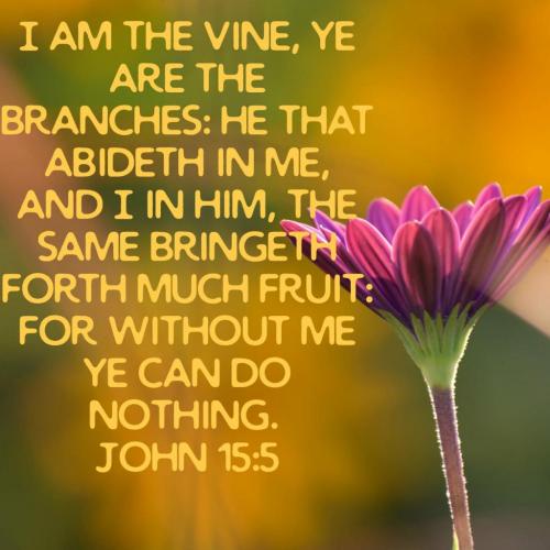 06:07:42 GMT-0600 (CST)