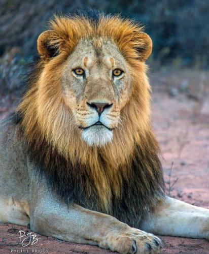 tumblr_25a2fe83f50a2d558ce94754cb6436a6_22755c0a_540