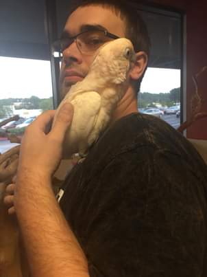 11:35:59 GMT-0500 (EST)