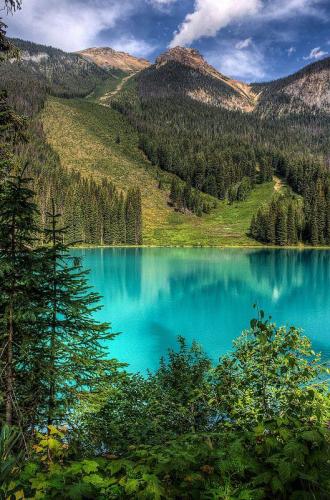 136734760_1488480554684623_4306452078033589949_n