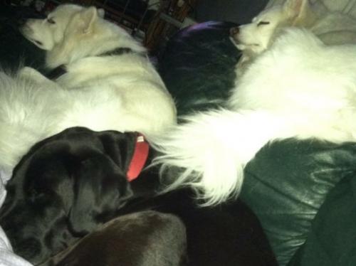 10:07:24 GMT-0500 (EST).image