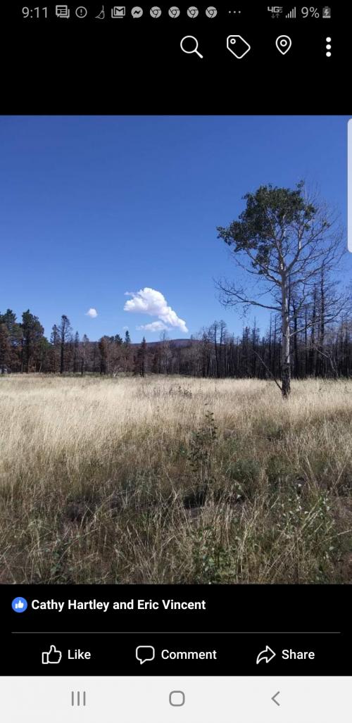 18:50:10 GMT-0500 (EST)