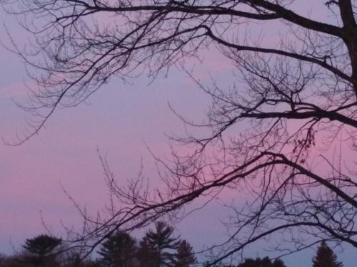 11:01:16 GMT-0600 (CST)