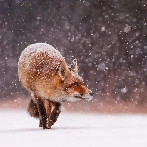 23:50:41 GMT-0700 (MST).image