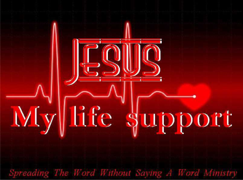 142198569_430496741478899_407480416702368079_n