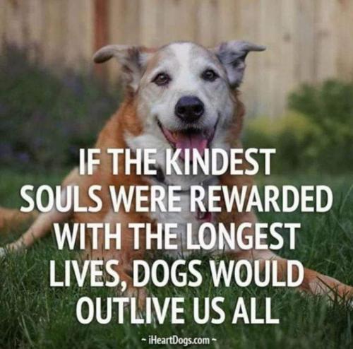 09:15:51 GMT-0500 (EST)