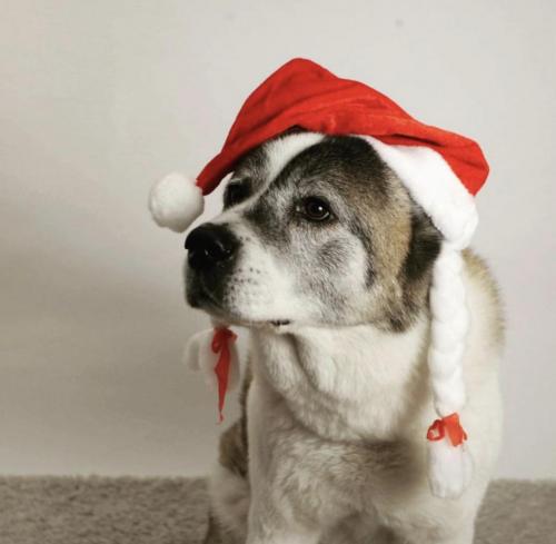 14:32:07 GMT+0100 (WAT).image