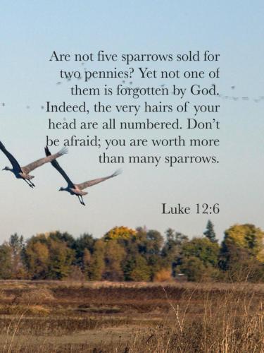 08:23:07 GMT-0500 (EST)