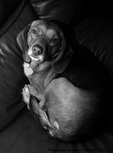 19:23:14 GMT-0600 (CST).image