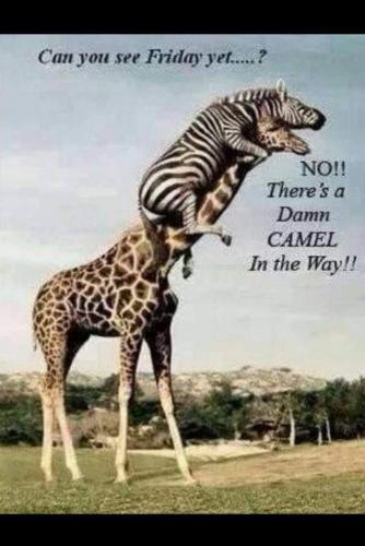 12:35:44 GMT-0600 (CST)